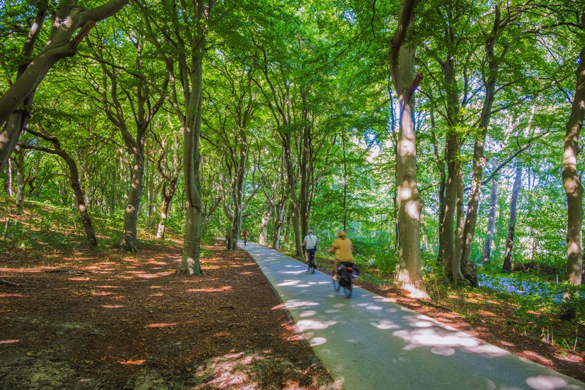 Fietsen in Bergen natuurgebied